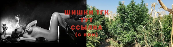 кокаин перу Дмитриев