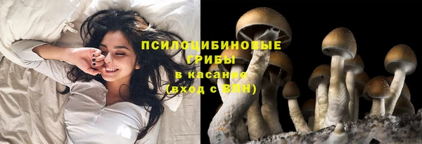 марки lsd Елизово