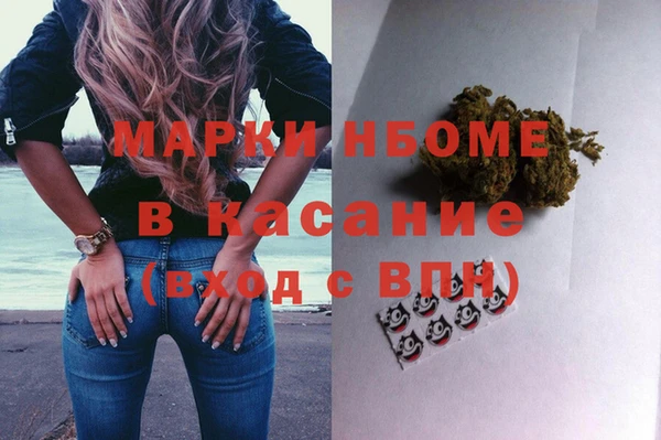 стафф Дмитров