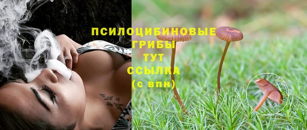 стафф Дмитров