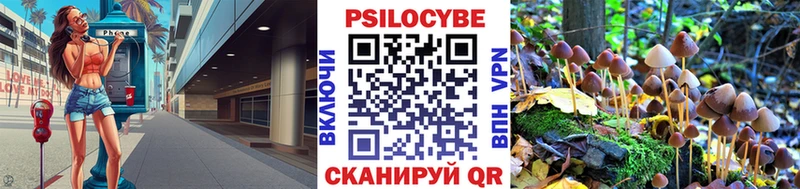 Галлюциногенные грибы Cubensis  Купить где  Отрадный 