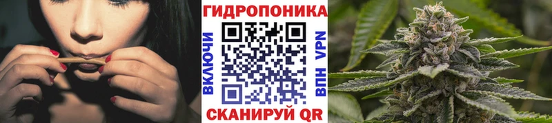 Каннабис Amnesia  Купить где  Отрадный 